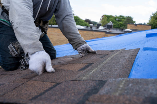 Best Storm Damage Roof Repair  in Prairie Creek, AR
