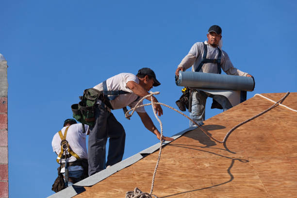 Best Roof Gutter Cleaning  in Prairie Creek, AR