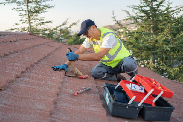 Best Gutter Installation and Roofing  in Prairie Creek, AR